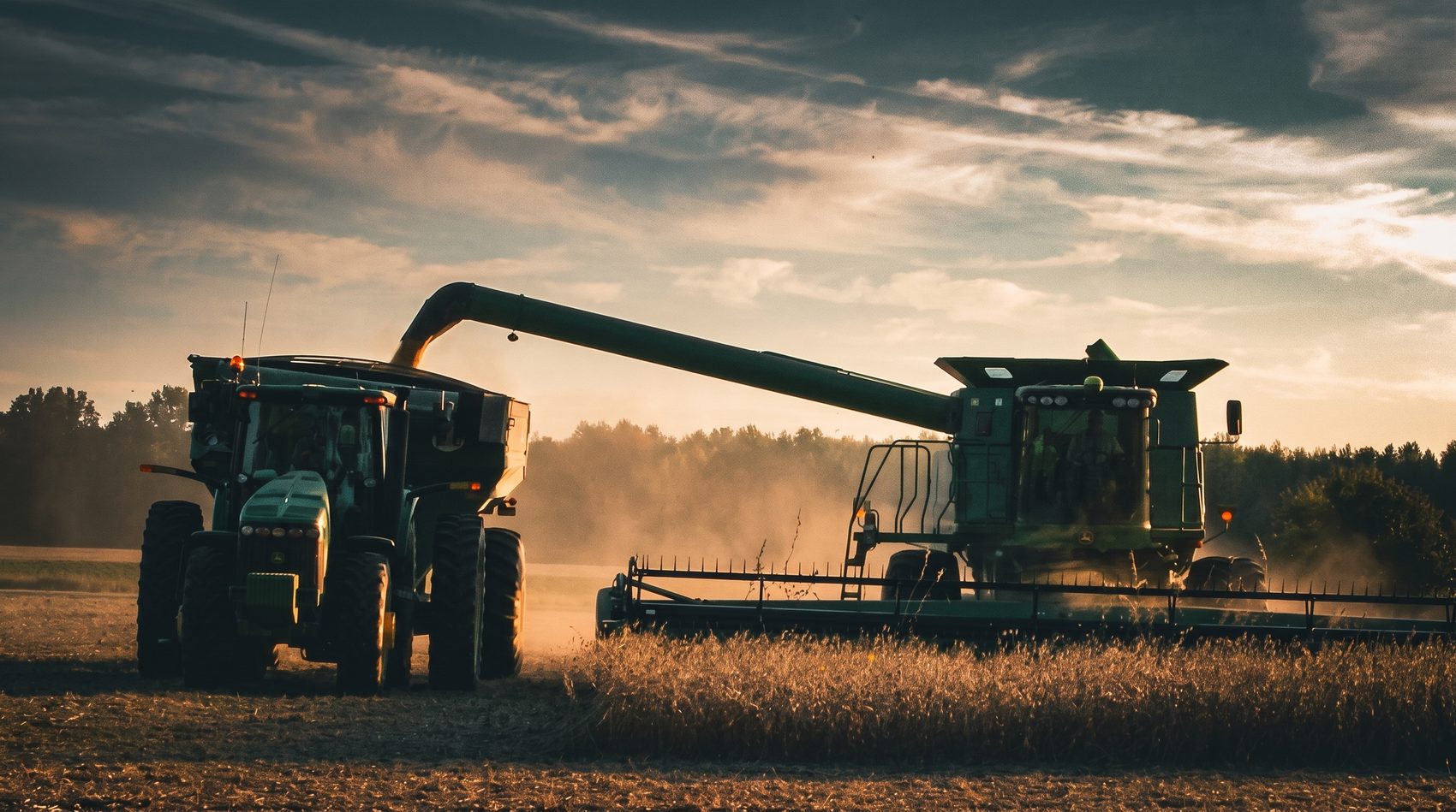Mähdrescher überlädt Getreide auf einen Traktor mit Anhänger